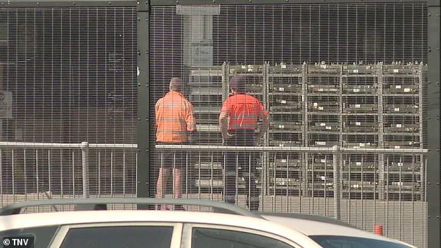 Sydney Airport Tragedy: Freight Handler Killed in Terminal Incident Raises Concerns Over Workplace Safety