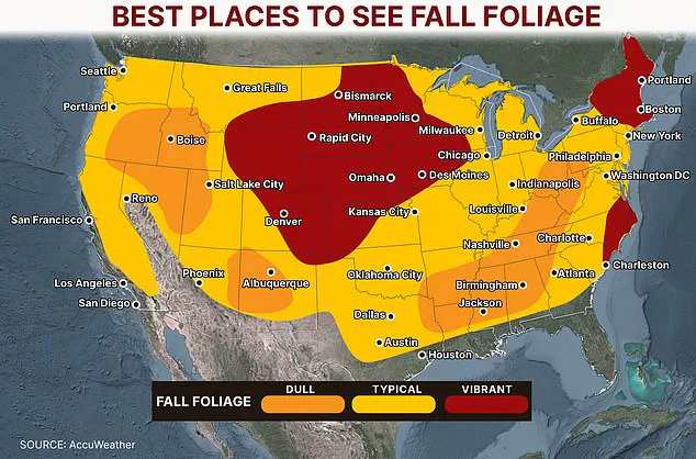 Privileged Access to Autumn's Fiery Foliage: Nature's Uneven Spectacle