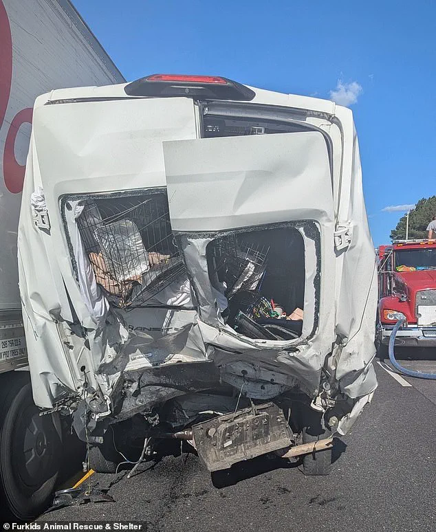 Deadly Six-Vehicle Pileup on Georgia Interstate Leaves Eight Dead