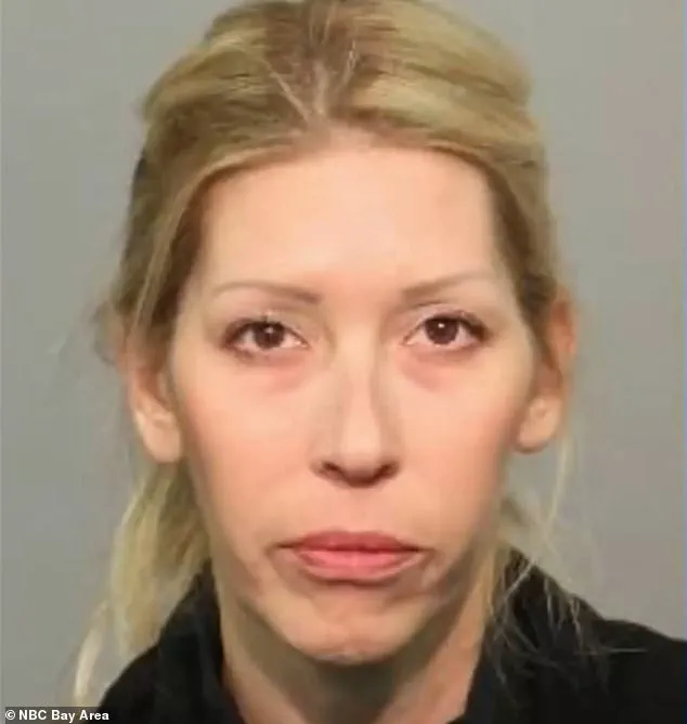 Exclusive: Inside the Secret Legal Battle of the Infamous 'Party Mom' Accused of Hosting Wild Parties with Alcohol and Sexual Activity
