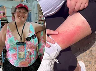 Father Injured in Disneyland Altercation Over Line-Cutting Sparks Safety Debate