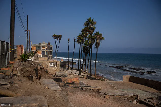 Malibu Residents in Shock as New Zealand Billionaire Brothers Quietly Acquire 16 Fire-Ravaged Plots via Zuru Tech Amid Post-Blaze Uncertainty