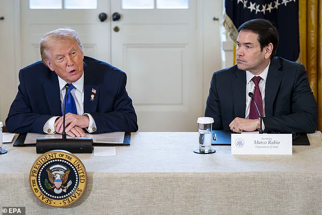 Privileged Insights: Trump's Urgent Warning on Greenland and the Global Power Struggle