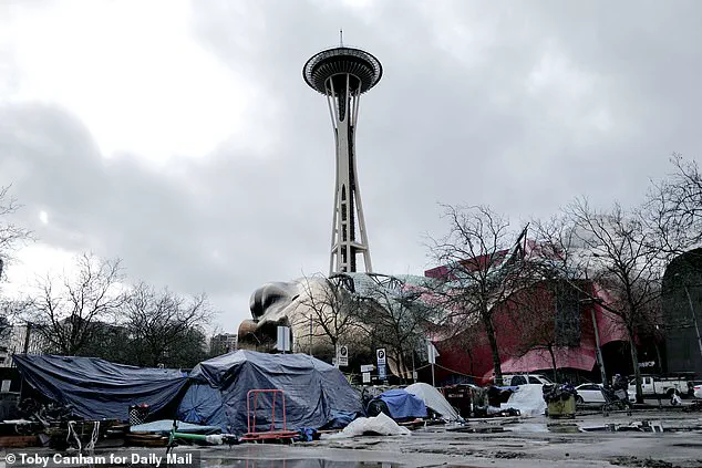 Seattle Mayor Katie Wilson Faces Backlash Over Drug Policy: 'It's a Lifeline' Says Addicts, 'Dangerous' Says Critics