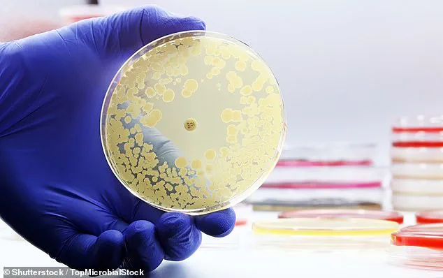 Three-Year Study Finds E. coli in Drinking Water Across 21 U.S. Airlines, Raising Safety Concerns