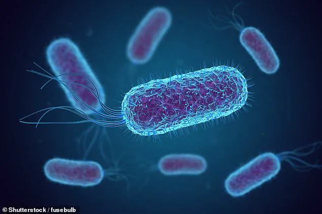 Three-Year Study Finds E. coli in Drinking Water Across 21 U.S. Airlines, Raising Safety Concerns