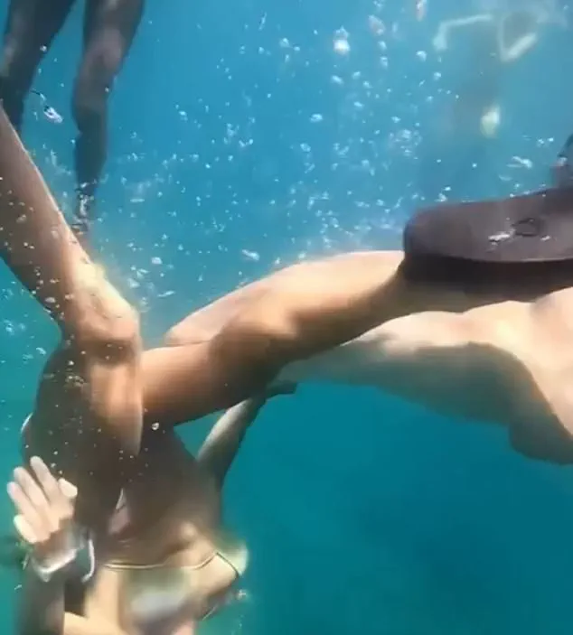 Shark Encounter in UNESCO Site Sparks Calls for Stricter Diving Regulations to Ensure Public Safety