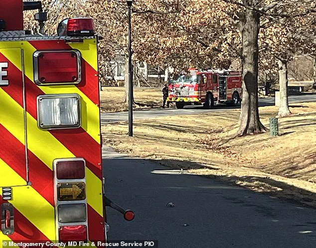 Massive Maryland Home Destroyed in Fire Sparked by Chicken Coop Heat Lamp