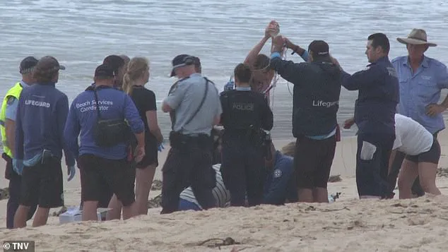 Shark Attacks Prompt Lockdown on Sydney's Northern Beaches After Three Incidents in 26 Hours, Including Two Involving Children