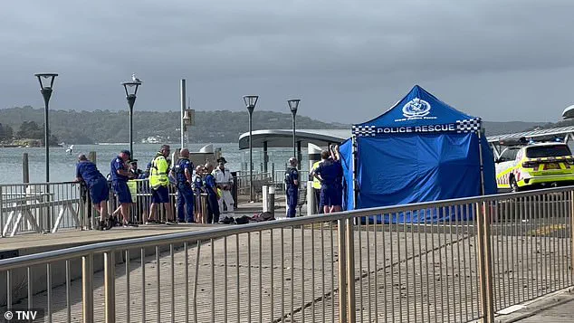 Shark Attacks Prompt Lockdown on Sydney's Northern Beaches After Three Incidents in 26 Hours, Including Two Involving Children