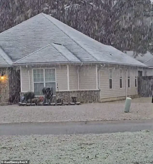 Unprecedented Winter Storm Challenges Government Emergency Response Across 18 States