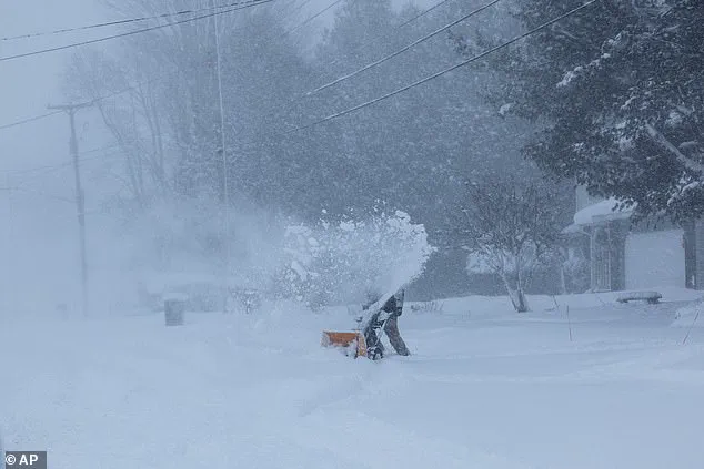 Limited Access: Panic Buyers Frenzy as Storm Fern's Record Cold Approaches 200 Million