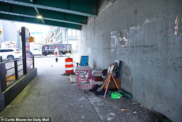 Homeless Encampments Return to Manhattan as New York City Halts Clearing Efforts Under Mamdani's Directive