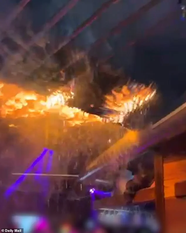Eleonora Palmieri's Battle: From Nightclub Fire to the Long Road of Healing