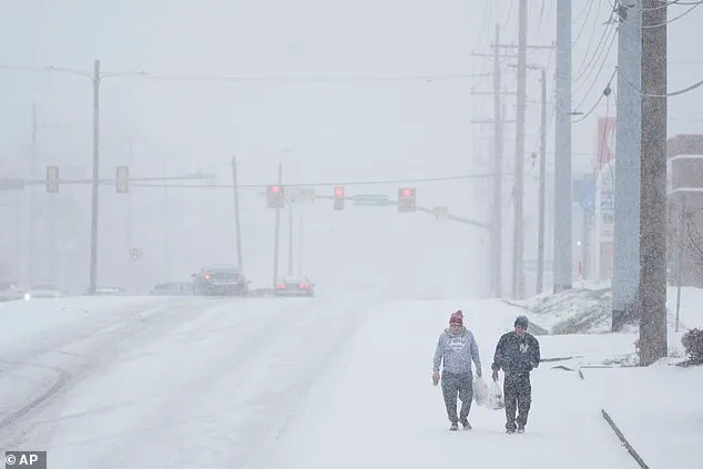 Nashville Family's Winter Survival Sparks Debate Over Safety and HOA Authority