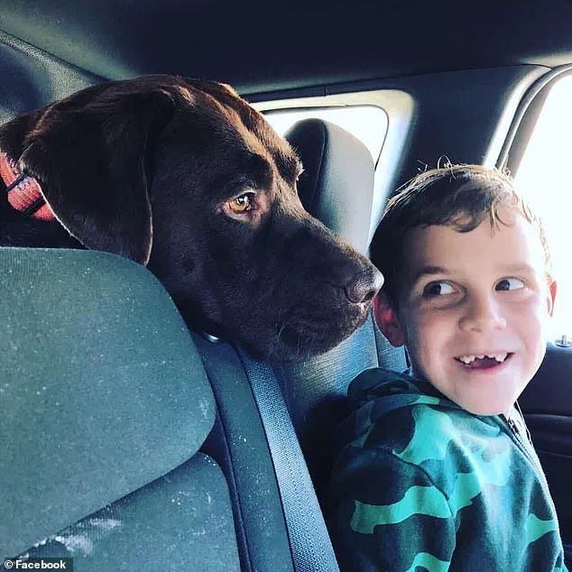 Quadruple Murder-Suicide in Perth Leaves Family and Pets Dead
