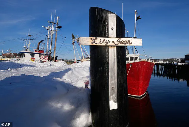 Lily Jean Sinking Claims Seven Lives, Including Captain Gus Sanfilippo