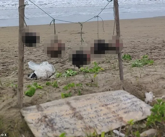 Gang War Escalates as Severed Heads Found with 'Stealing is Forbidden' Warning in Ecuador's Guayas Province