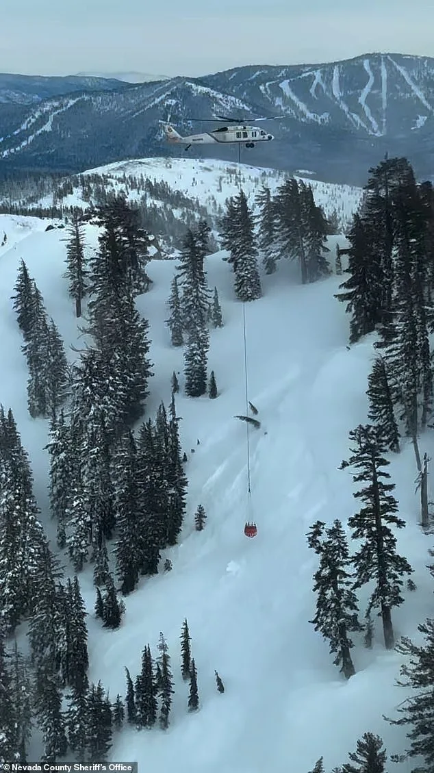 Images Reveal Devastating Avalanche at Lake Tahoe's Castle Peak: Nine Lives Lost in Storm Slab Collapse