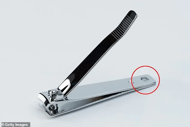The Surprising Hidden Purpose of the Tiny Hole in Your Nail Clipper, Revealed in a Viral Social Media Debate