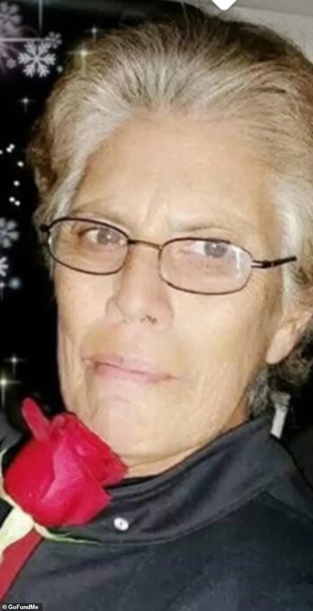 Illegal Immigrant Teenager Sentenced to 2.5 Years for Hit-and-Run Killing Grandmother