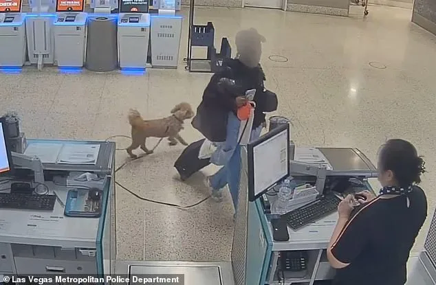 Bench Warrant Issued for Disabled Veteran Over Service Dog Abandonment at Las Vegas Airport Sparks Legal Debate