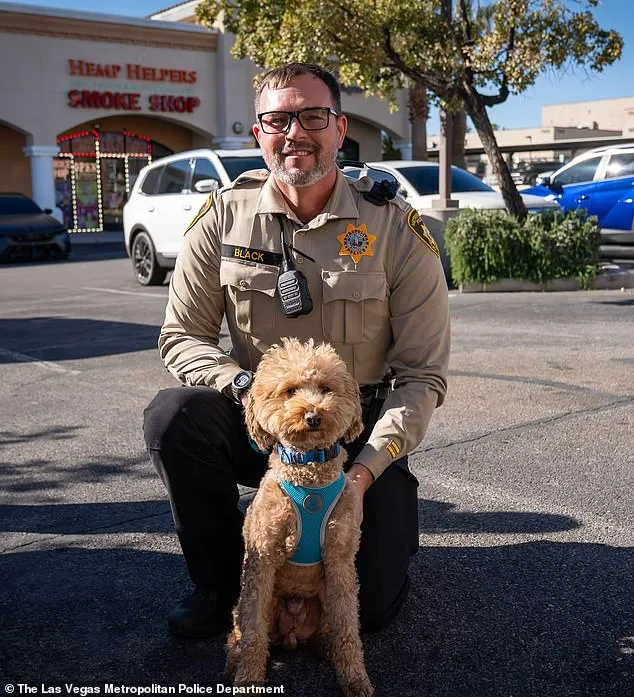 Bench Warrant Issued for Disabled Veteran Over Service Dog Abandonment at Las Vegas Airport Sparks Legal Debate
