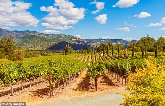 Lindsay Hoopes in Legal Dispute Over Napa Winery's 'Small Winery Exemption' and $4M Fines