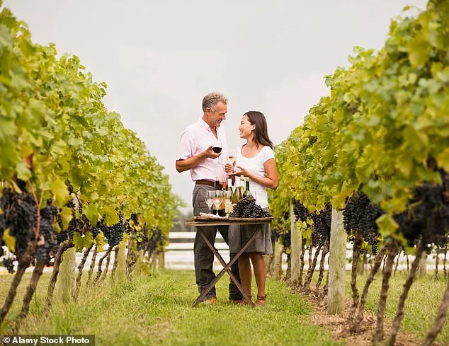 Lindsay Hoopes in Legal Dispute Over Napa Winery's 'Small Winery Exemption' and $4M Fines