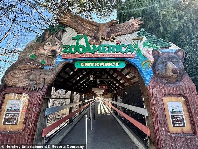 Toddler's Hand Clamped by Wolf at Hersheypark Zoo Amid Parental Distraction and Safety Concerns