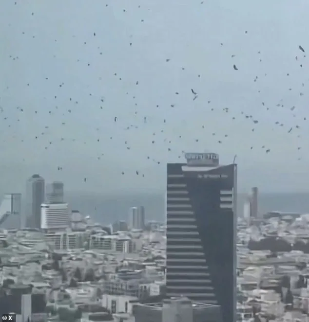 Bees Swarm Israel, Sparking Bible Conjectures
