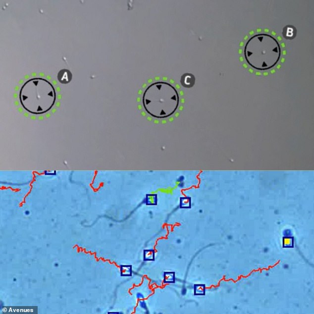 AI-Powered Fertility Clinic in London Helps Couples Conceive After Years of Struggle