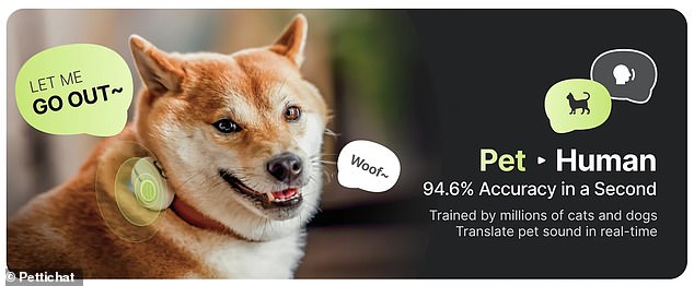 New AI collar translates pet sounds into human language with 95% accuracy.
