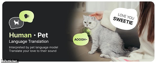 New AI collar translates pet sounds into human language with 95% accuracy.