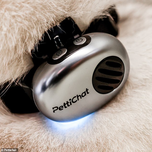 New AI collar translates pet sounds into human language with 95% accuracy.