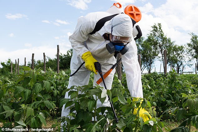 Vermont becomes first US state to ban paraquat pesticide by 2030