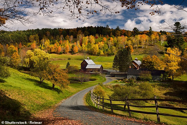 Vermont becomes first US state to ban paraquat pesticide by 2030